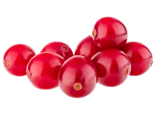Kırmızı kızılcık meyveler — Stok fotoğraf