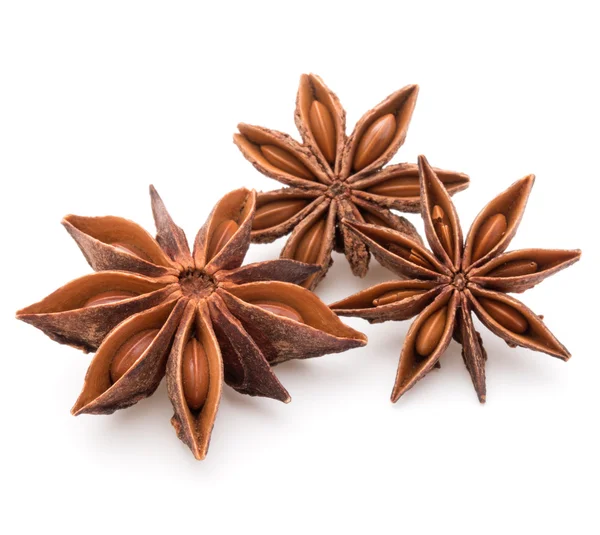 Stars anise spice  and seeds — Stock Photo, Image