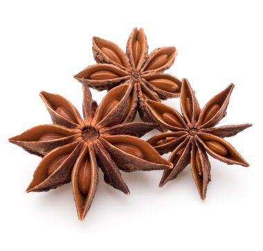 Yıldız anason baharat ve tohum