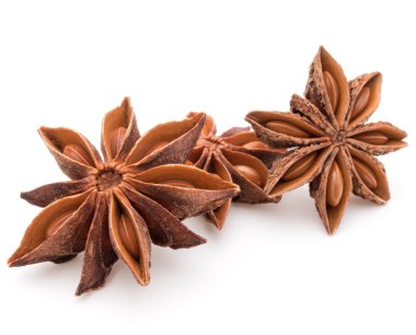 Yıldız anason baharat ve tohum