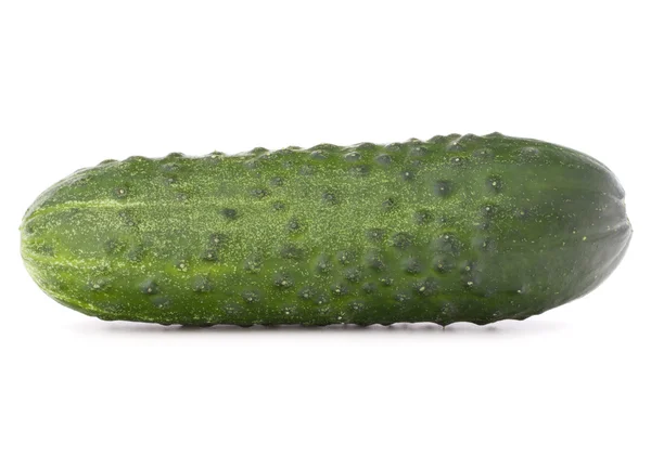 Pepino fresco maduro — Foto de Stock