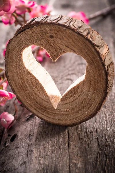 Καρδιά τρύπα στο ξύλο και λουλούδια — Φωτογραφία Αρχείου