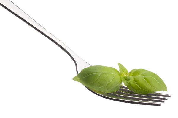 Fresh basil leaf on fork — Stock Photo, Image