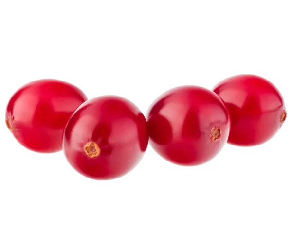 Merah buah cranberry — Stok Foto