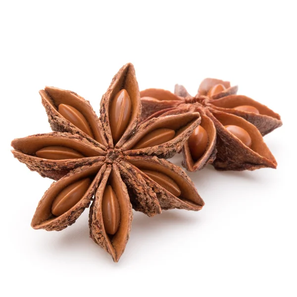 Yıldız anason baharat ve tohum — Stok fotoğraf