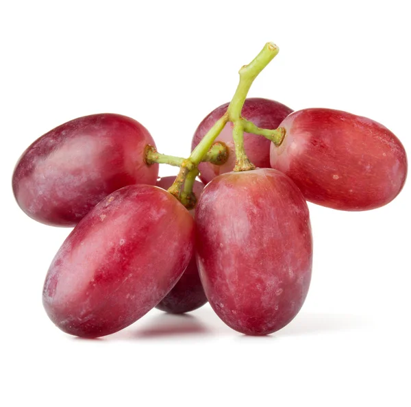 Uvas vermelhas cacho — Fotografia de Stock