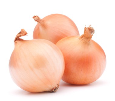 altın soğan sebze çiçek soğanı 