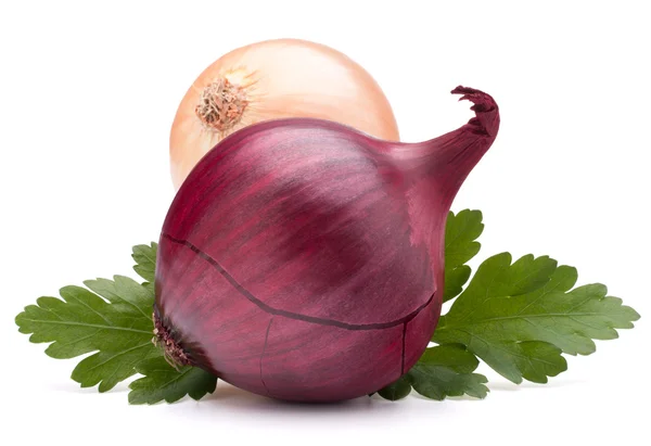 Onion bulbs and parsley leaves still life — Stock Photo, Image