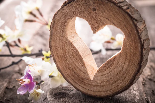 Foro del cuore in legno e fiori — Foto Stock