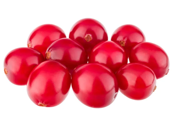 Merah buah cranberry — Stok Foto