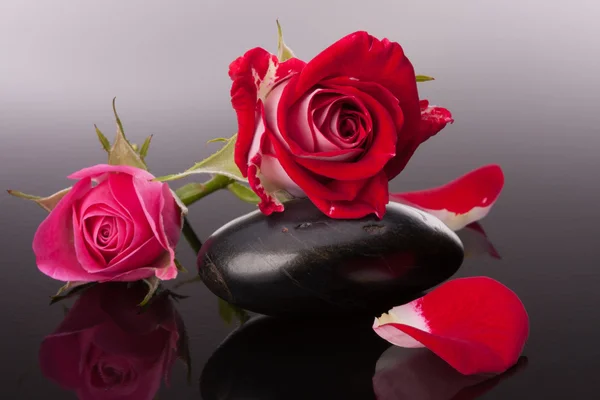 Spa pierre et fleurs roses — Photo