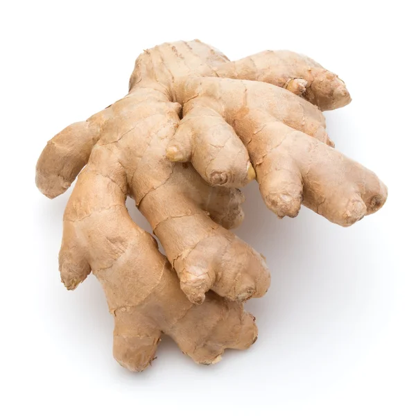 Fresh ginger root — Stock Photo, Image