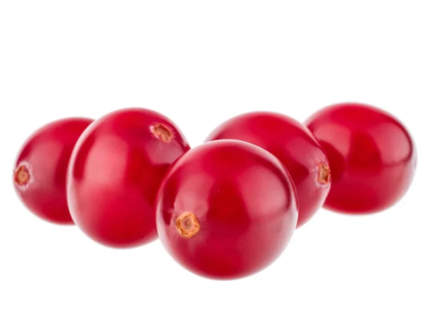 Red cranberry berries — Stock Photo, Image