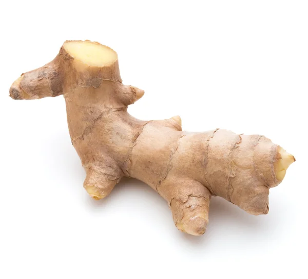 Fresh ginger root — Stock Photo, Image