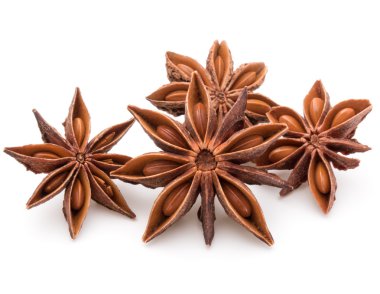 yıldız anason baharat