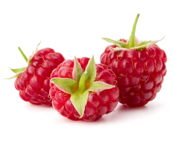 Reife frische Himbeeren — Stockfoto