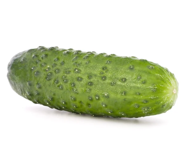 Legume de pepino fresco — Fotografia de Stock