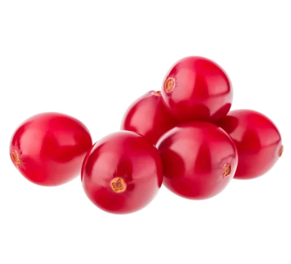 Merah buah cranberry — Stok Foto