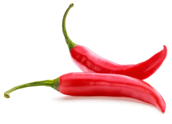 Red chili cayenne peppers — Stock Photo, Image