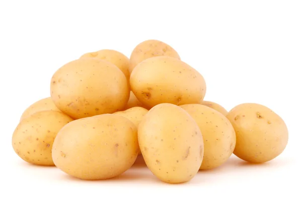 Nieuwe aardappelknollen — Stockfoto