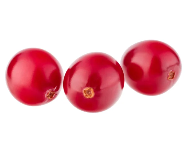 Merah buah cranberry — Stok Foto