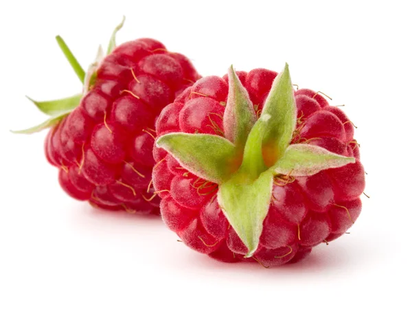 Reife frische Himbeeren — Stockfoto