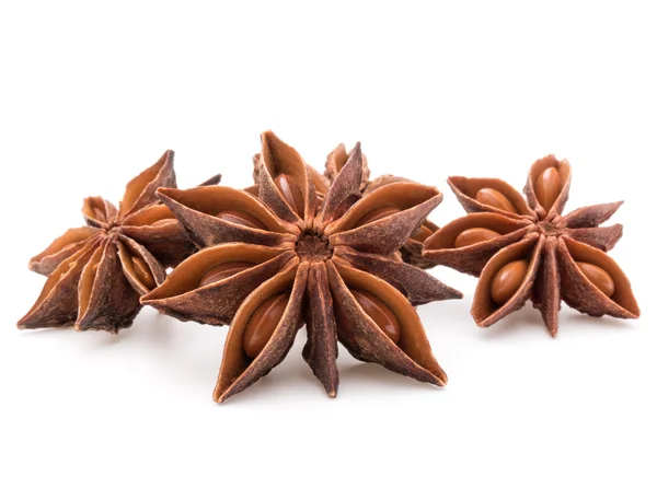 Estrellas Anise spice — Foto de Stock