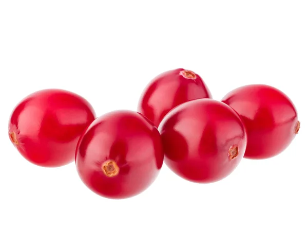 Kırmızı kızılcık meyveler — Stok fotoğraf