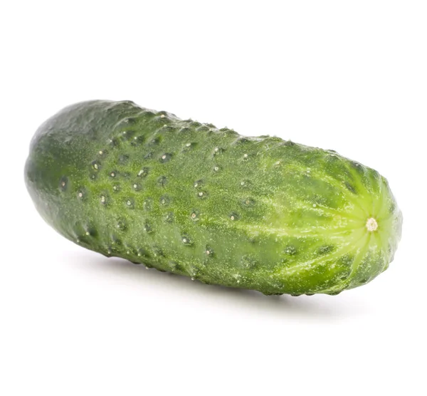 Färsk gurka vegetabiliska — Stockfoto