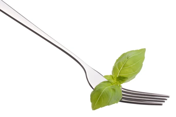 Fresh basil leaf  on fork — Stock Photo, Image