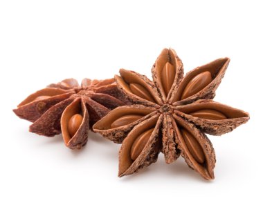 Baharatlı anason yıldız