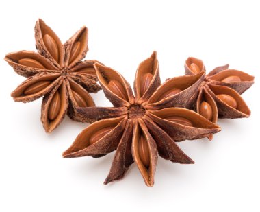 Baharatlı anason yıldız