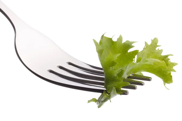 Ensalada de lechuga fresca en tenedor —  Fotos de Stock