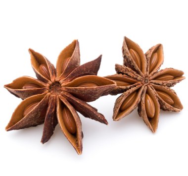 Baharatlı anason yıldız