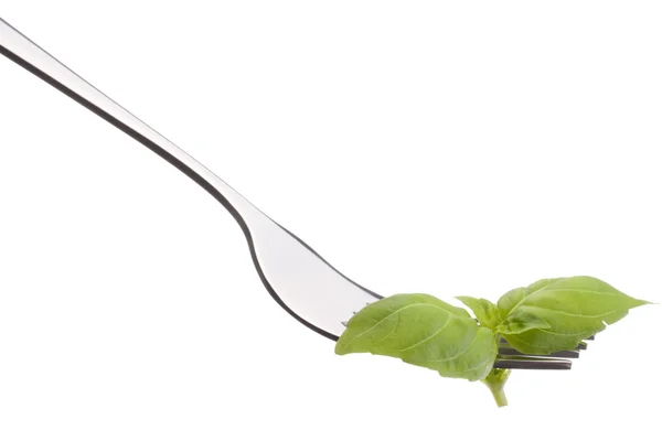 Fresh basil leaf  on fork — Stock Photo, Image