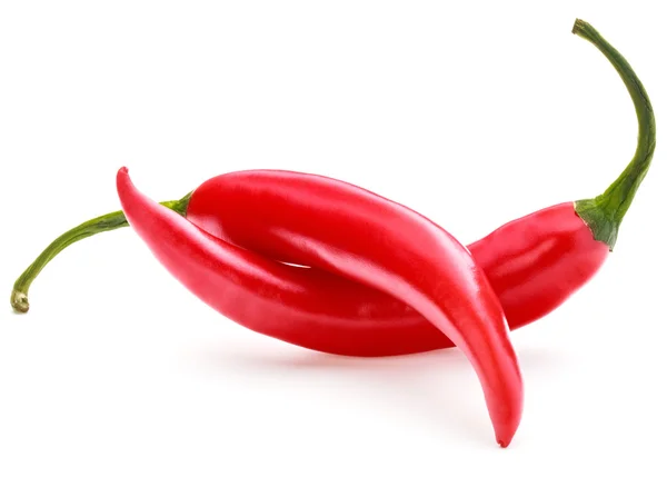 Red chili cayenne peppers — Stock Photo, Image