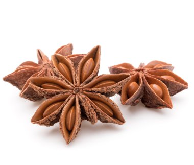 Baharatlı anason yıldız