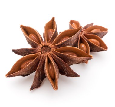 Baharatlı anason yıldız