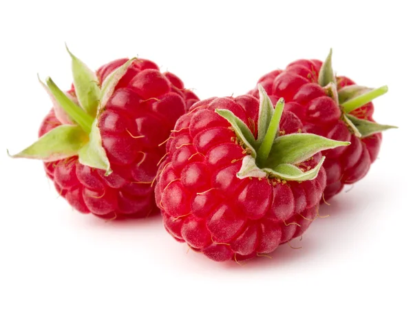 Ripe fresh raspberries — Stock Photo, Image