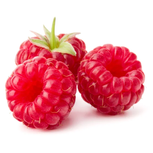 Reife frische Himbeeren — Stockfoto