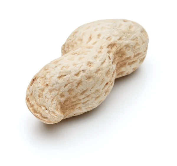 Arachis peanut pod — Stock Photo, Image