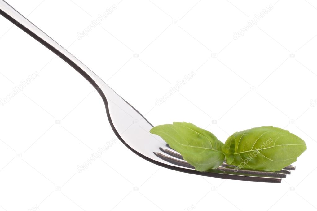 Fresh basil leaf  on fork