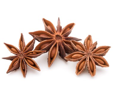 Baharatlı anason yıldız