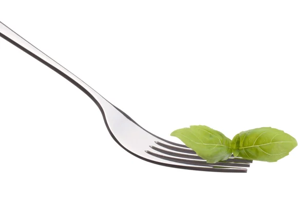 Fresh basil leaf  on fork — Stock Photo, Image