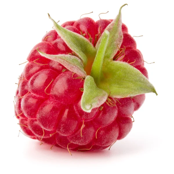 Ripe fresh raspberry — Stock Photo, Image