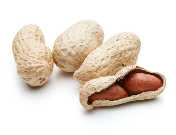 Арахисовые стручки арахиса — стоковое фото