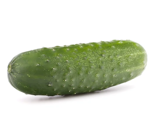 Fresh cucumber vegetable Royalty Free Stock Photos