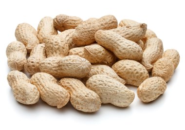 Arachis Fıstık kabukları