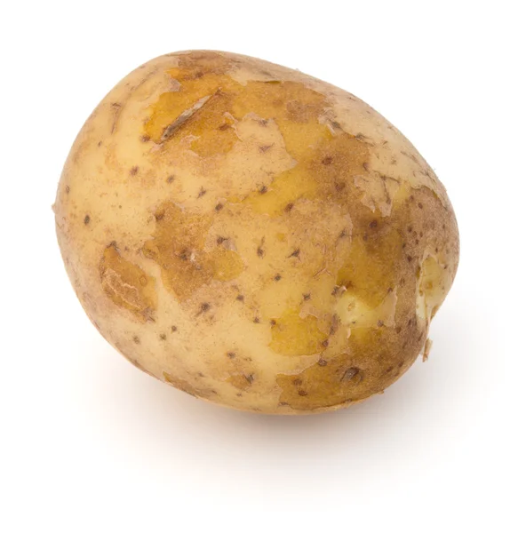 Nya potatis rotsaker — Stockfoto