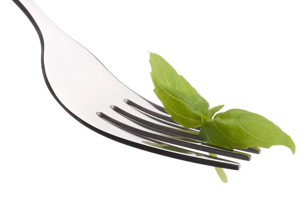 Fresh basil leaf  on fork — Stock Photo, Image